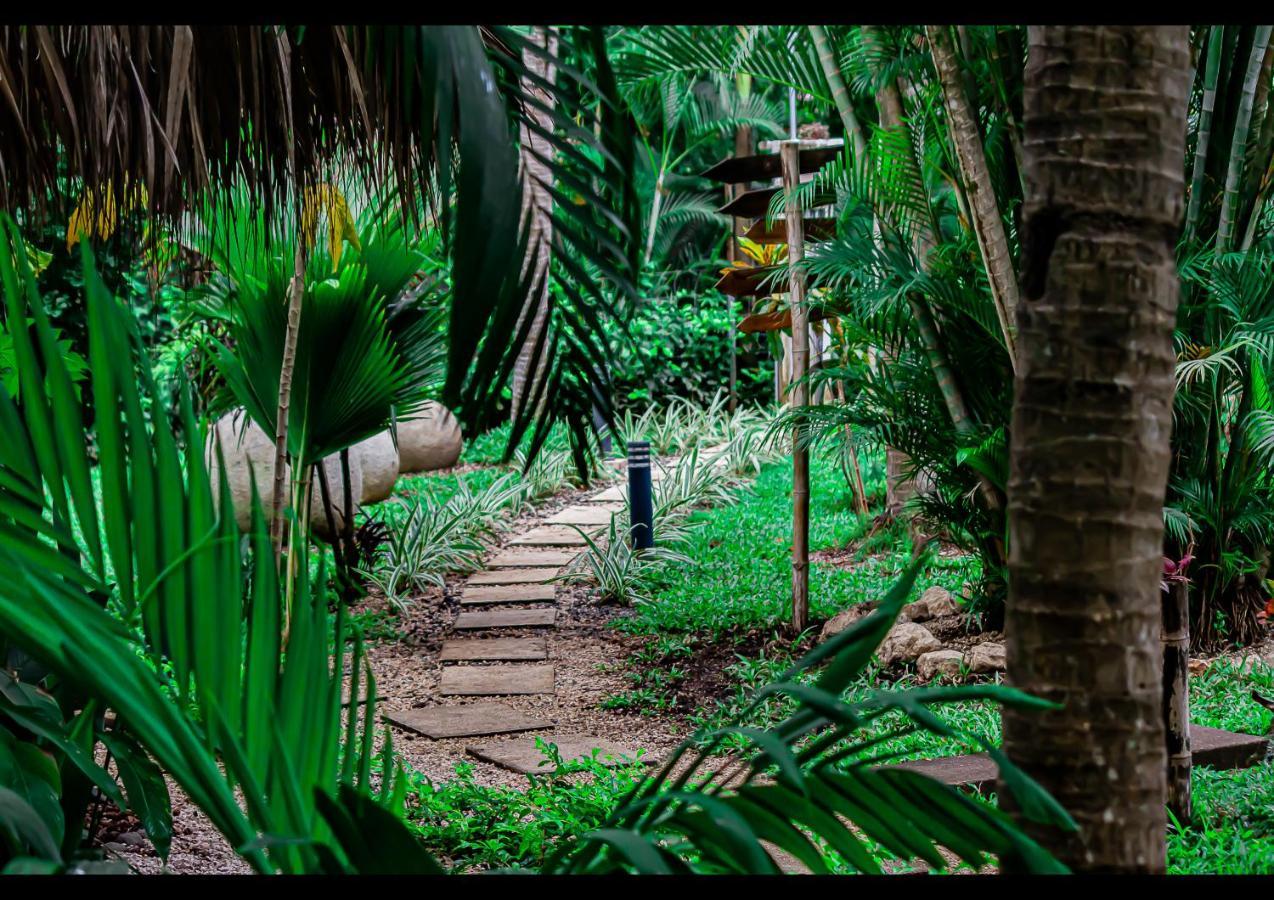 Villas Pura Vibra โปเตรโร ภายนอก รูปภาพ