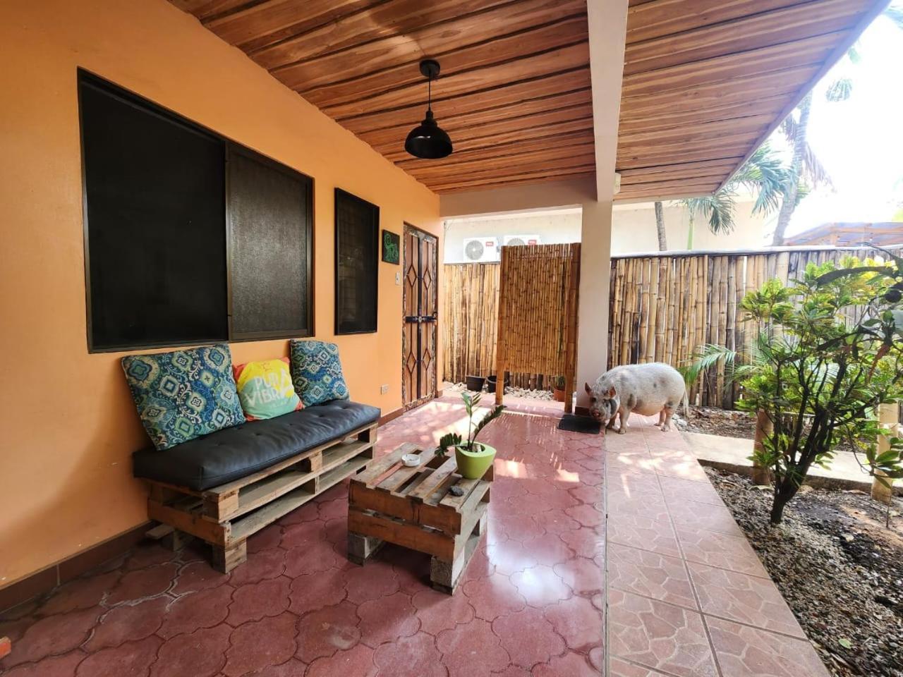 Villas Pura Vibra โปเตรโร ภายนอก รูปภาพ